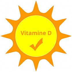 La Vitamine D : Une petite dose de soleil hivernal